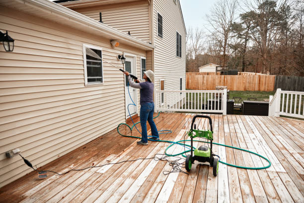 Best Affordable Power Washing  in Amelia, LA