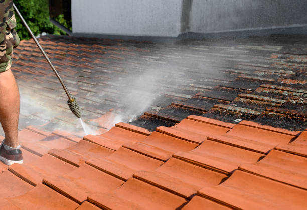 Best Local Pressure Washing Services  in Amelia, LA