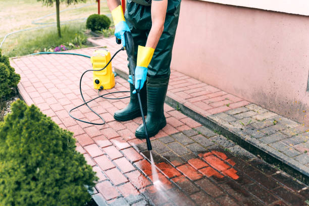 Best Exterior Home Cleaning  in Amelia, LA