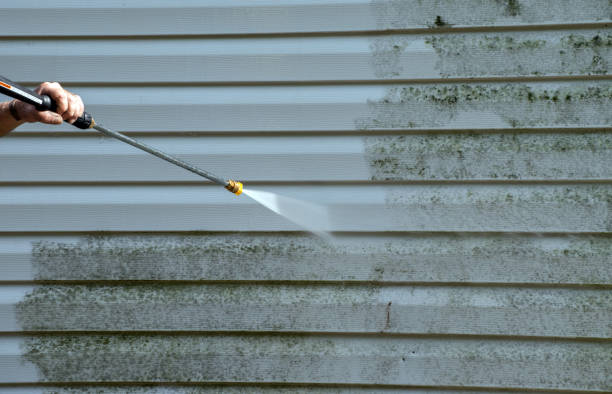 Best Garage Pressure Washing  in Amelia, LA