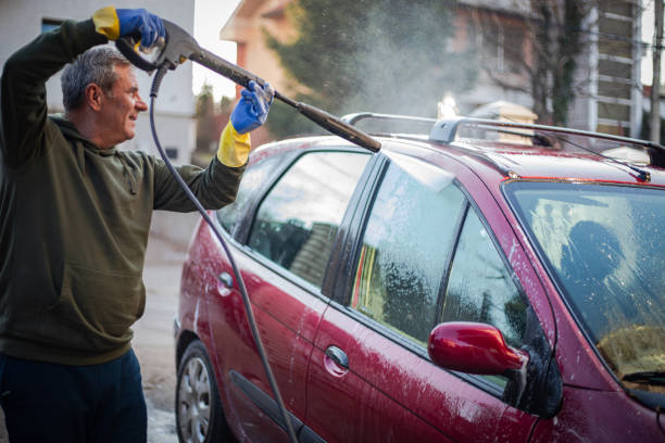 Best Commercial Building Pressure Washing  in Amelia, LA