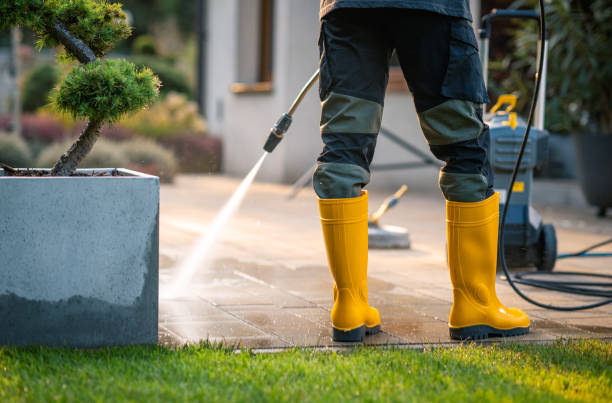  Amelia, LA Pressure Washing Pros